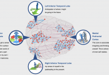 Eine Reise in die wunderbare Welt der Klänge