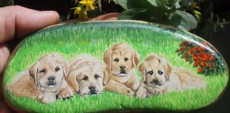 Natur als Bühne des Lebens