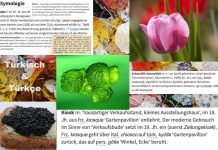 Eine Tüte Türkisch