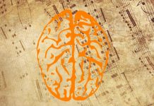 Die Musik im Dienste der Entwicklung des Gehirns