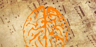 Die Musik im Dienste der Entwicklung des Gehirns