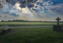 Das Leben – ein Fenster nur